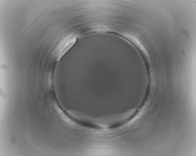 X0000091180889200708091220