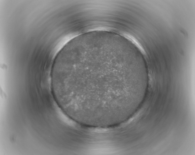 X0000091180890200708091220