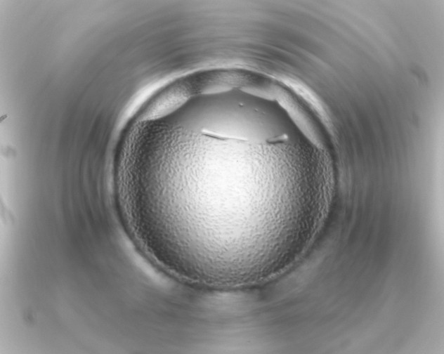 X0000091180894200708091220