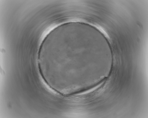 X0000091180895200708091220