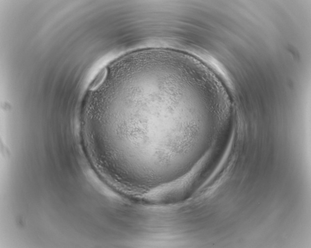 X0000091180896200708091220