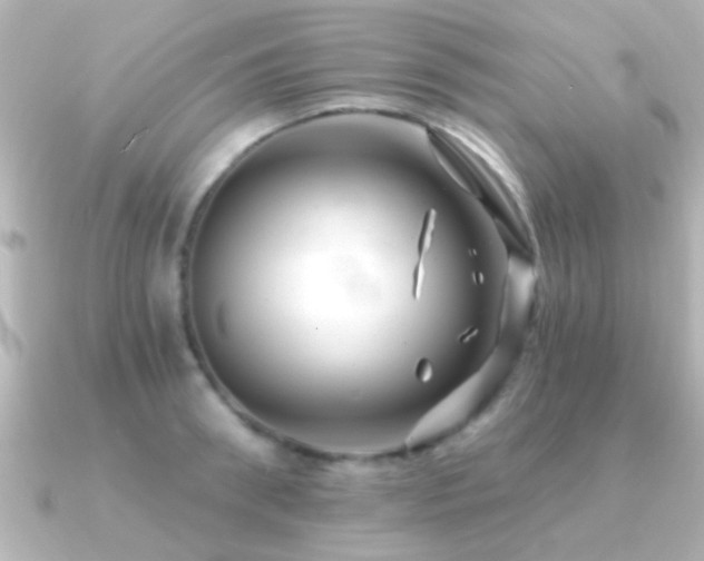 X0000091180898200708091220
