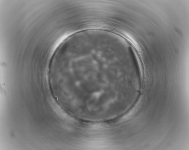 X0000091180899200708091220