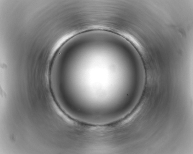 X0000091180902200708091220