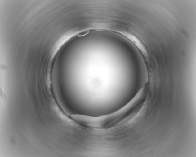 X0000091180904200708091220