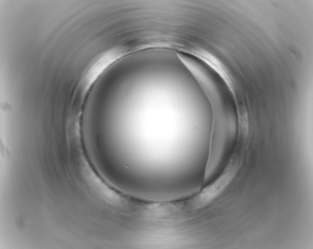 X0000091180906200708091220