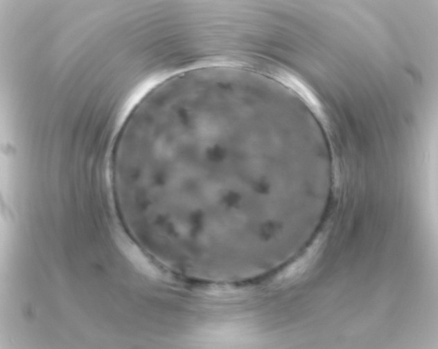 X0000091180907200708091220