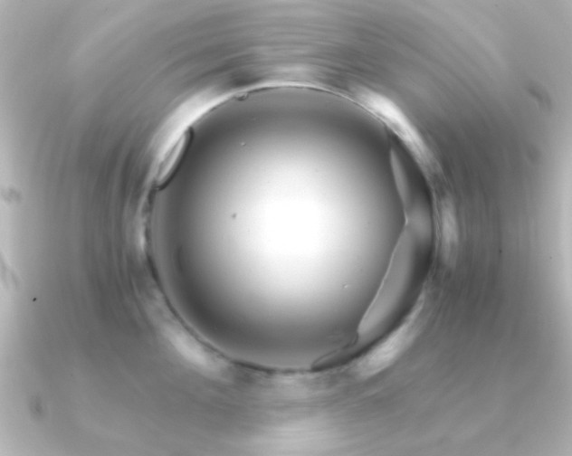 X0000091180908200708091220