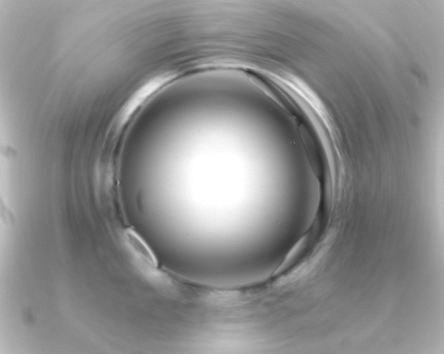 X0000091180909200708091220