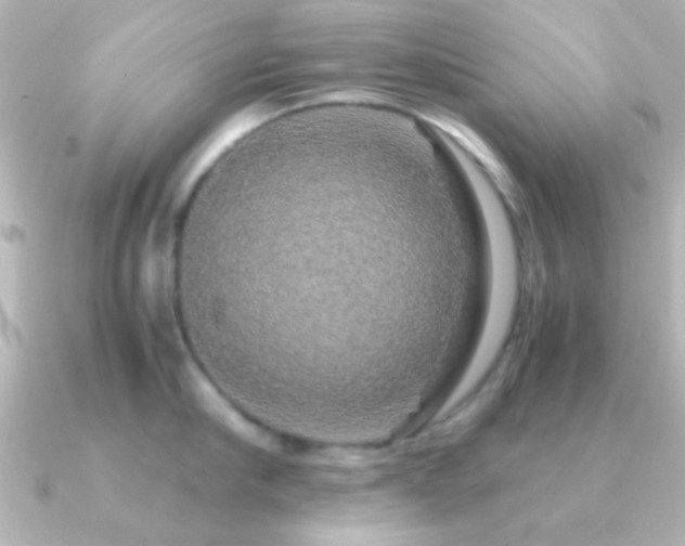 X0000091180910200708091220