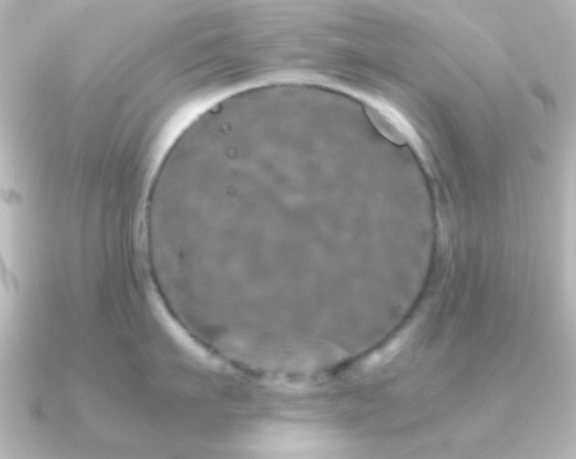 X0000091180911200708091220