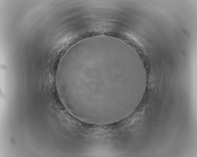 X0000091180917200708091219