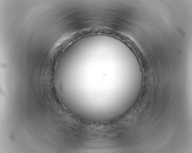 X0000091180919200708091219