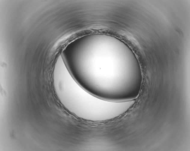 X0000091180920200708091219