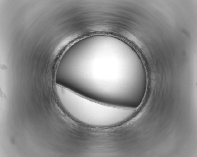 X0000091180922200708091219