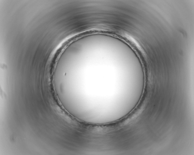 X0000091180923200708091219