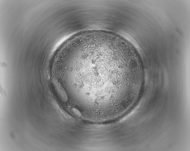 X0000091180925200708091219