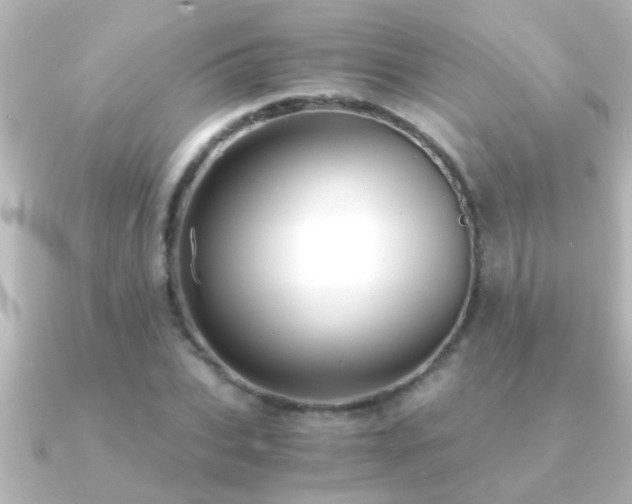 X0000091180927200708091219