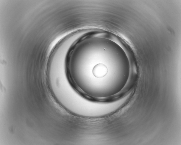 X0000091180928200708091219
