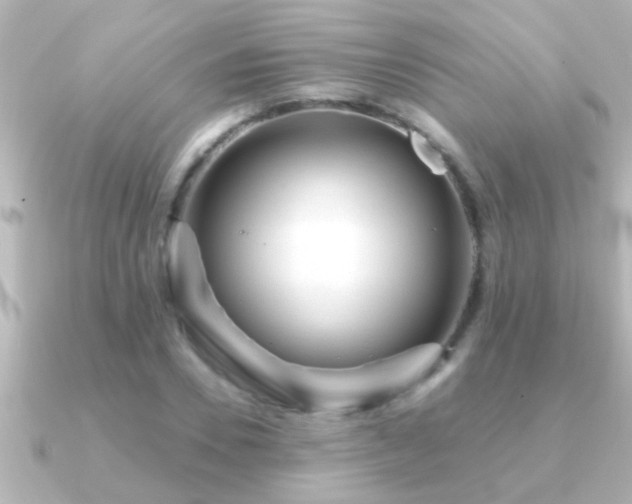 X0000091180930200708091219