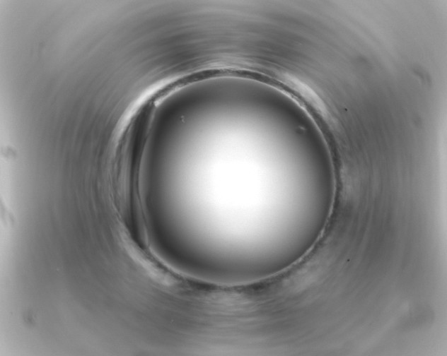 X0000091180931200708091219