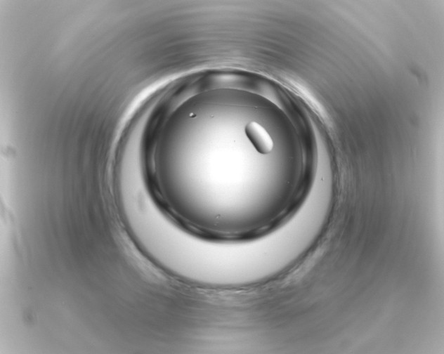 X0000091180932200708091219