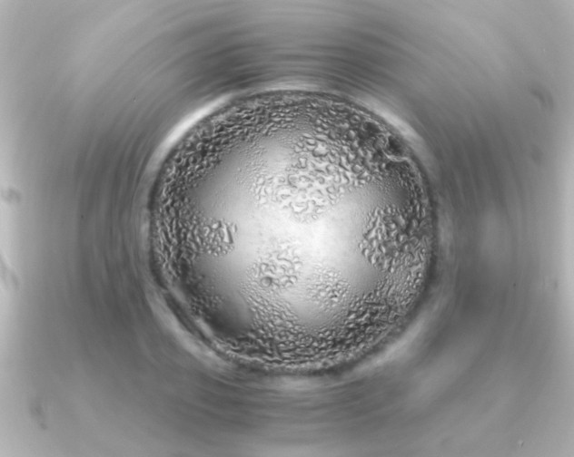 X0000091180933200708091219