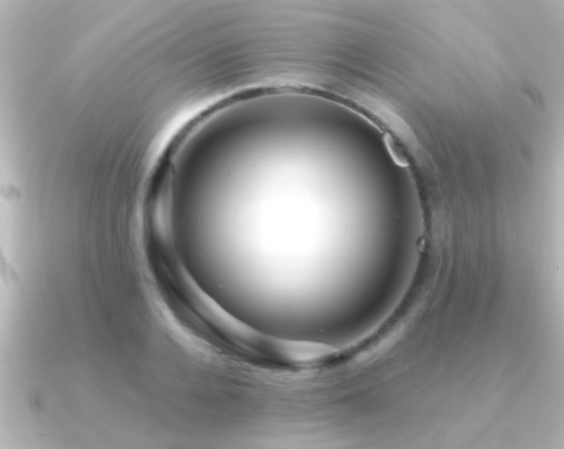 X0000091180936200708091219