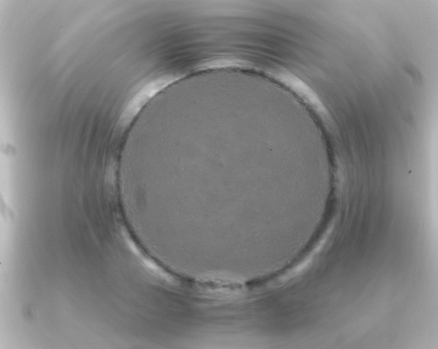 X0000091180937200708091219