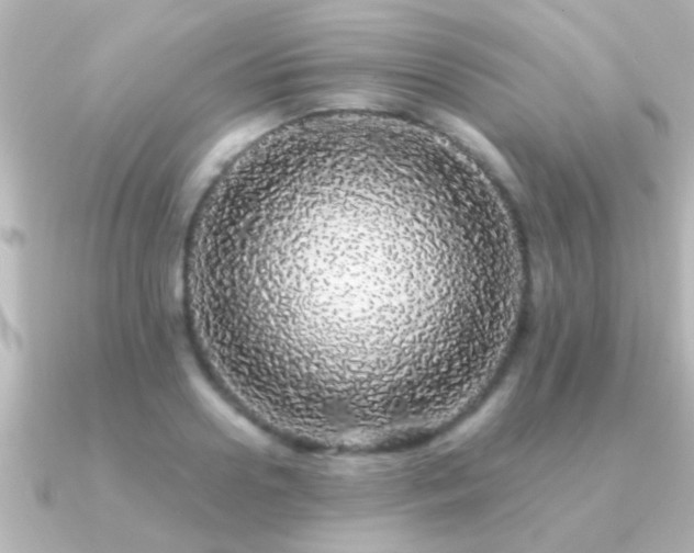 X0000091180938200708091219