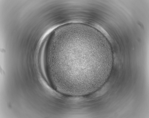 X0000091180939200708091219