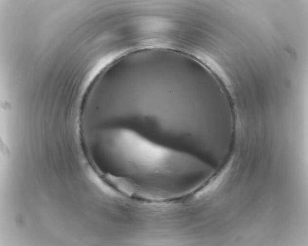 X0000091180941200708091219