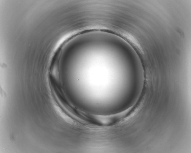 X0000091180942200708091219