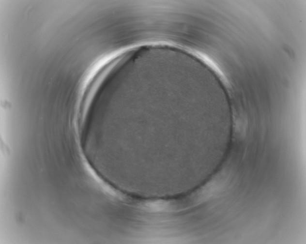 X0000091180943200708091219