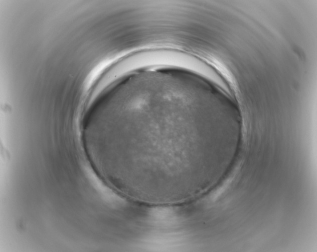 X0000091180944200708091219