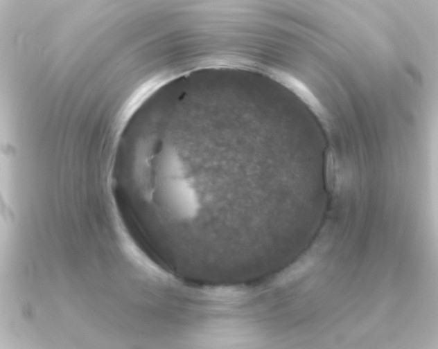 X0000091180946200708091219