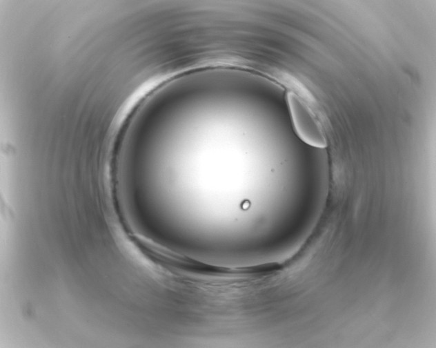 X0000091180947200708091219