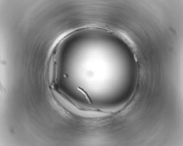 X0000091180948200708091219