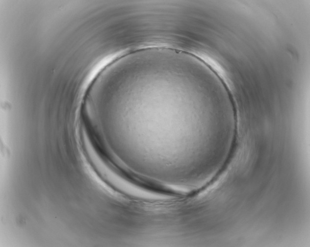 X0000091180949200708091219