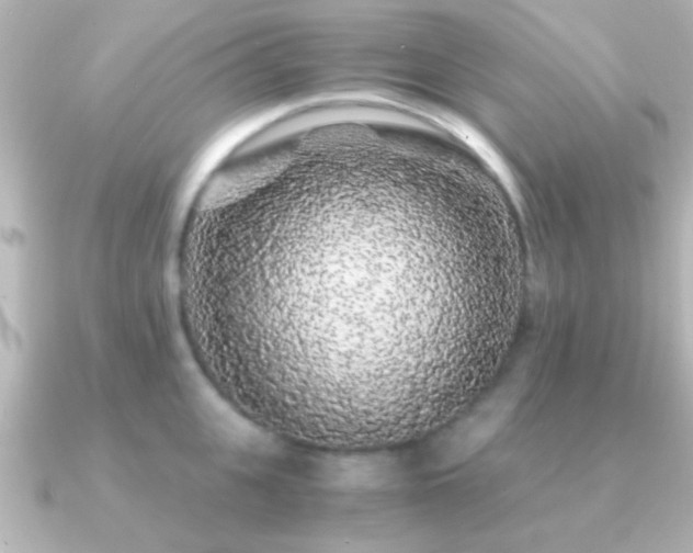 X0000091180951200708091220