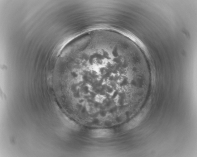 X0000091180953200708091220