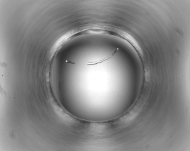 X0000091180954200708091220