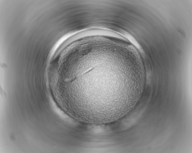 X0000091180955200708091220