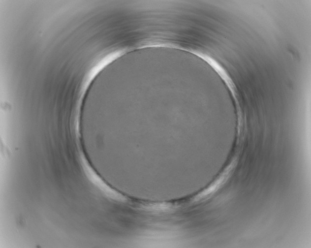 X0000091180957200708091220