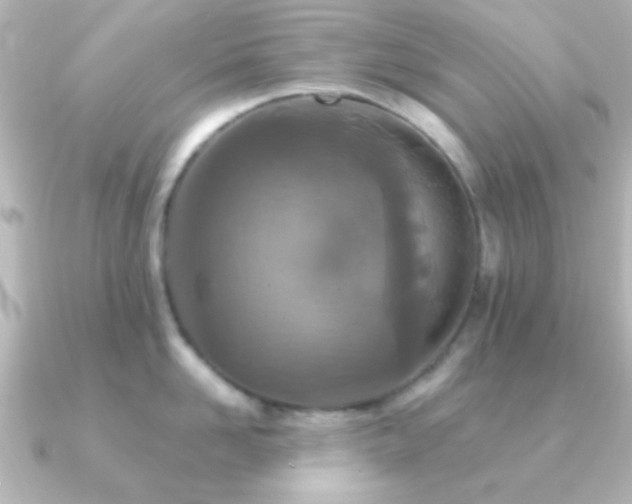 X0000091180958200708091220