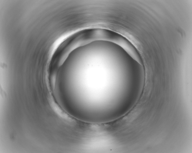X0000091180960200708091220