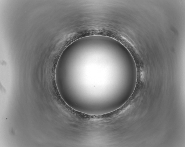 X0000091180961200708091219