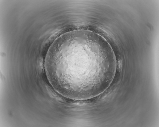 X0000091180963200708091219