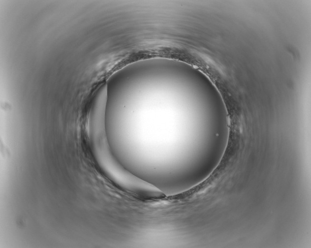 X0000091180965200708091219