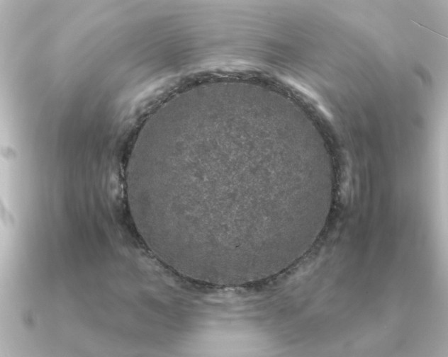 X0000091180966200708091219